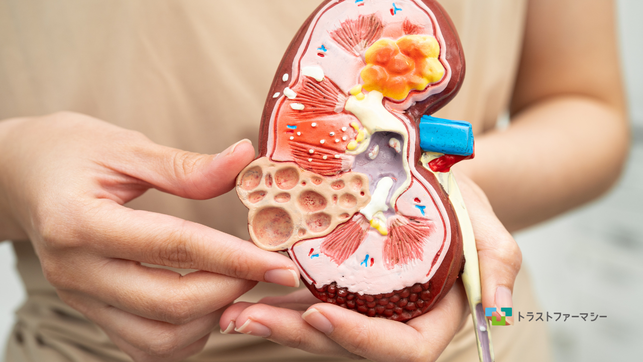 腎機能低下に伴う食事制限と、低栄養への不安に関するご相談